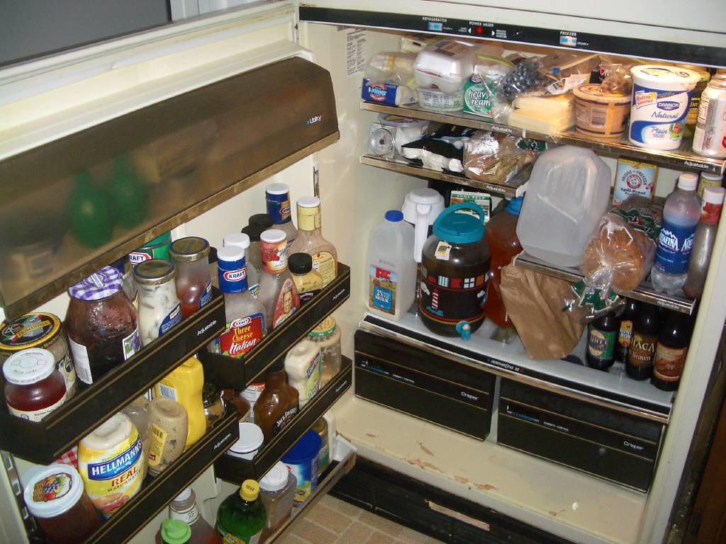 Refrigerator Cleaning and Maintenance Guide