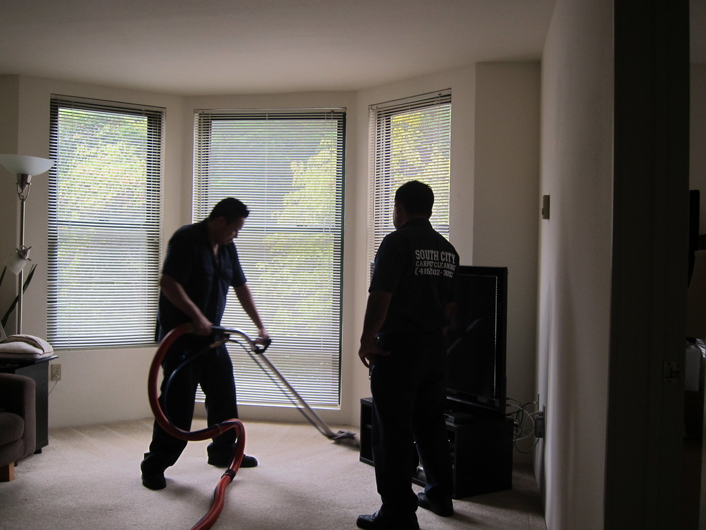 Carpet Cleaning and Maintenance Guide