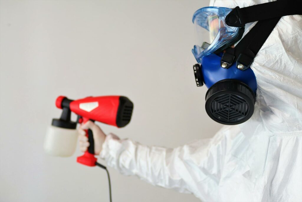 Mold Removal: Protecting Your Home and Health