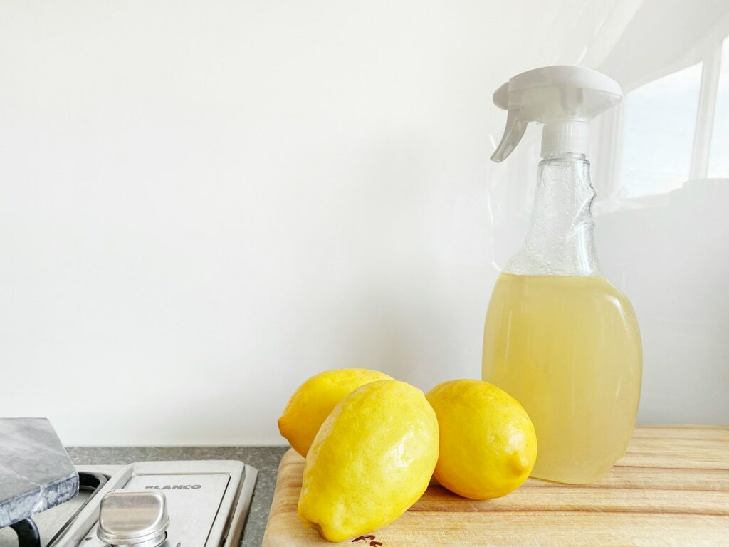 Try Non-Toxic Homemade Cleaners