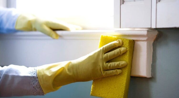 Mold Removal: Protecting Your Home and Health