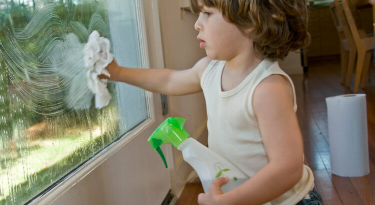 Green Window Cleaning: Eco-Friendly Methods